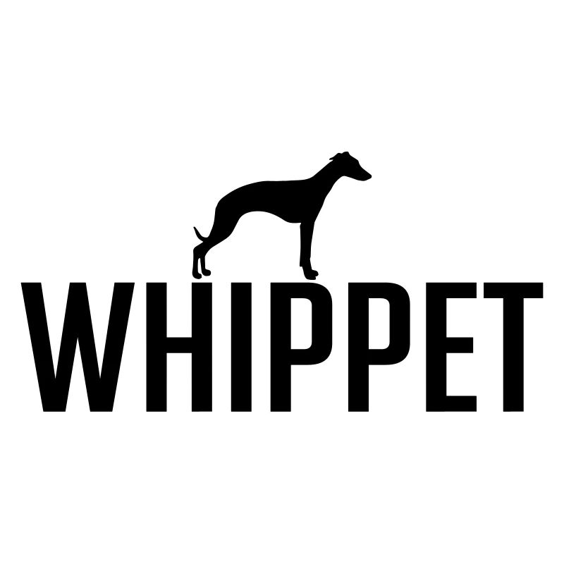 WHIPPET Races de chiens Chiens Lévriers Wilsigns
