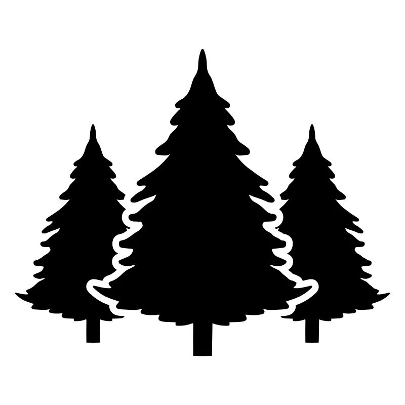 Sapin de forêt d’arbres