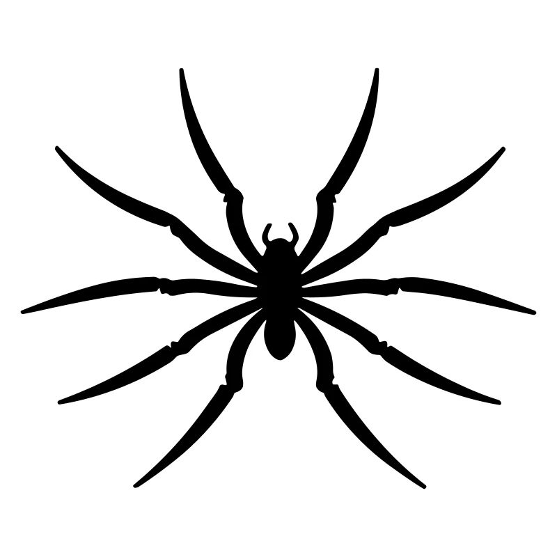 araignée