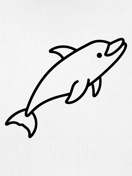 dolphin