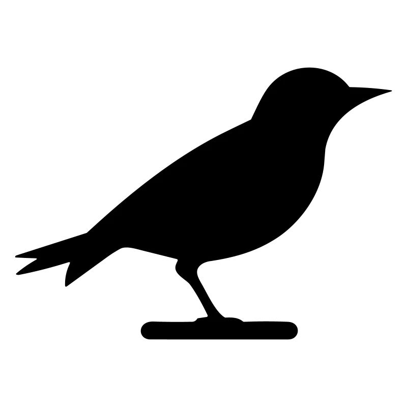 Oiseau