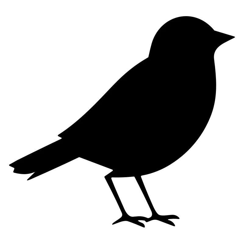 Petit oiseau