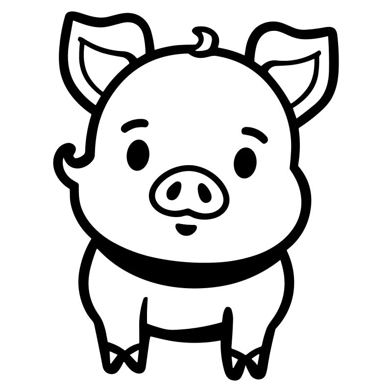cochon