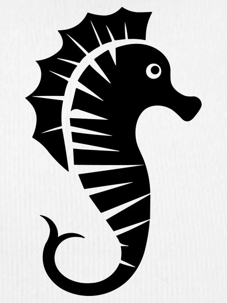 Hippocampe