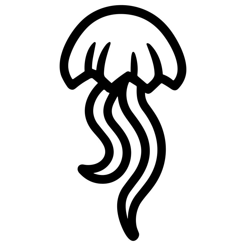 Jellyfish