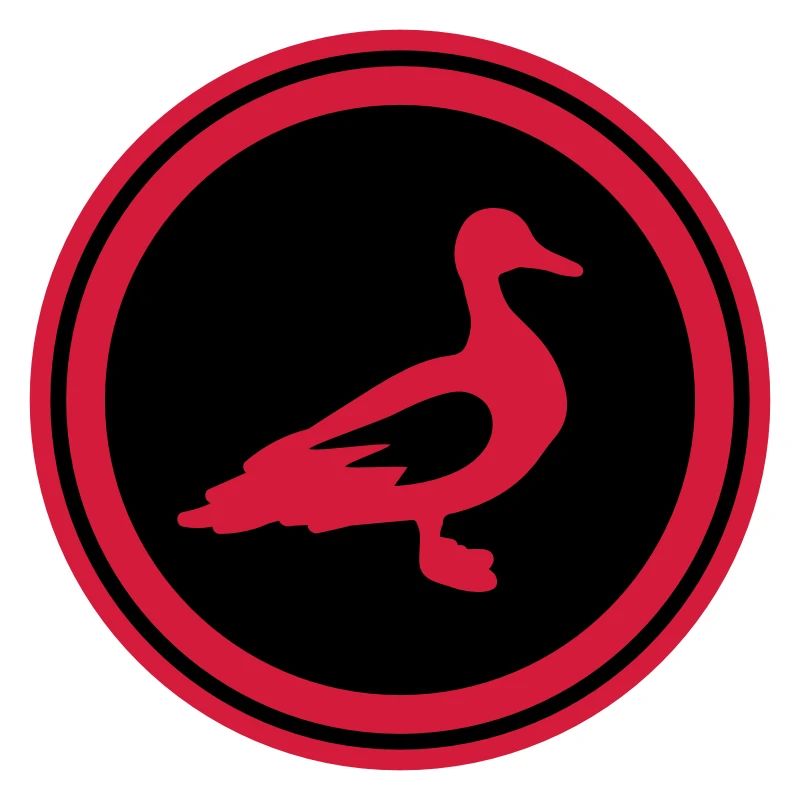 Duck animal