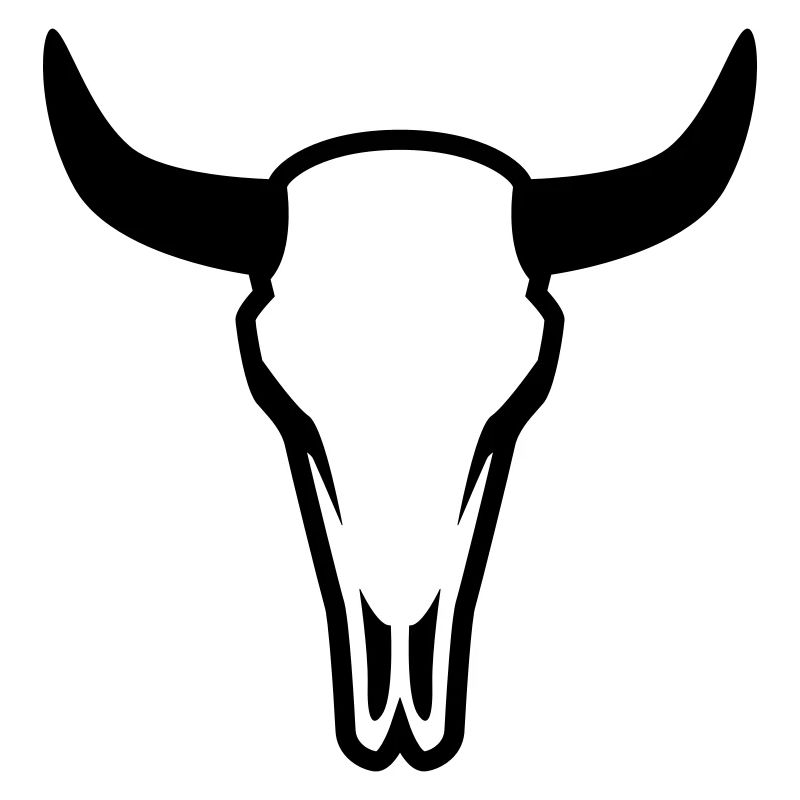 Crâne de vache taureau