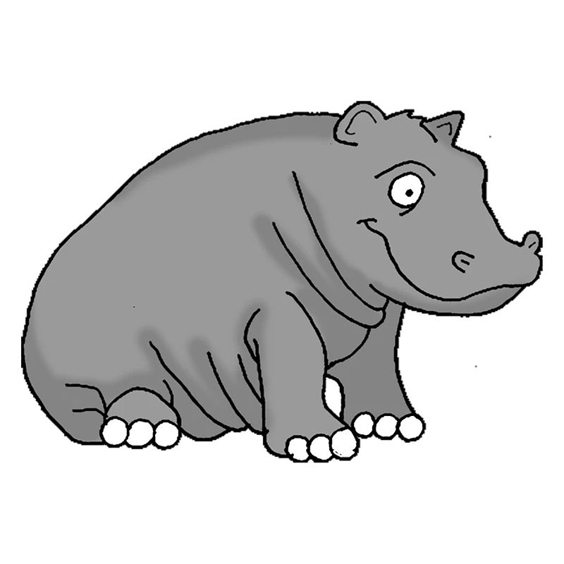 Hippopotame