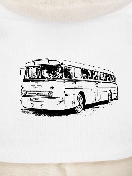 Ikarus 66