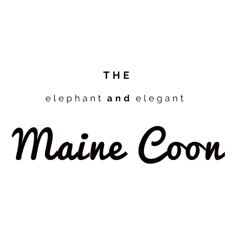 The elephant & elegant Main Coon