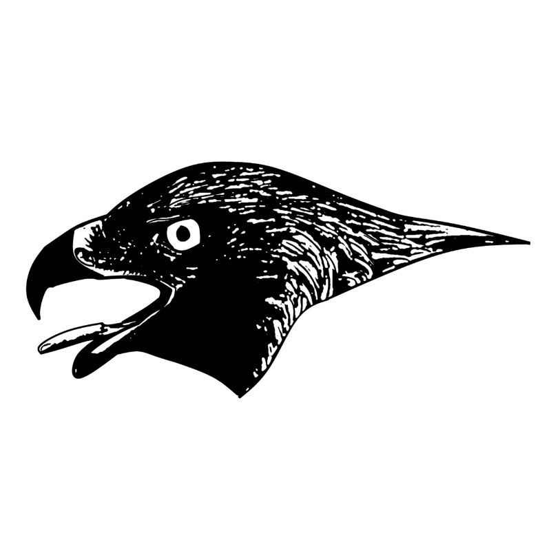 Eagle Spirit - The Invincible Eagle