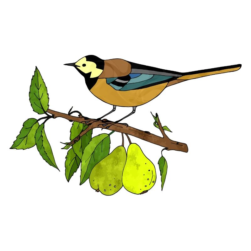 Bunter Vogel