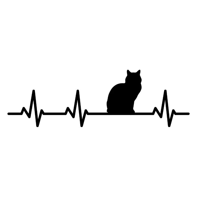 Cat pulse rate