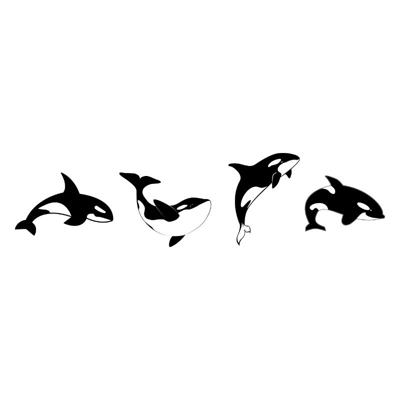Orca Positions - Geschenkidee