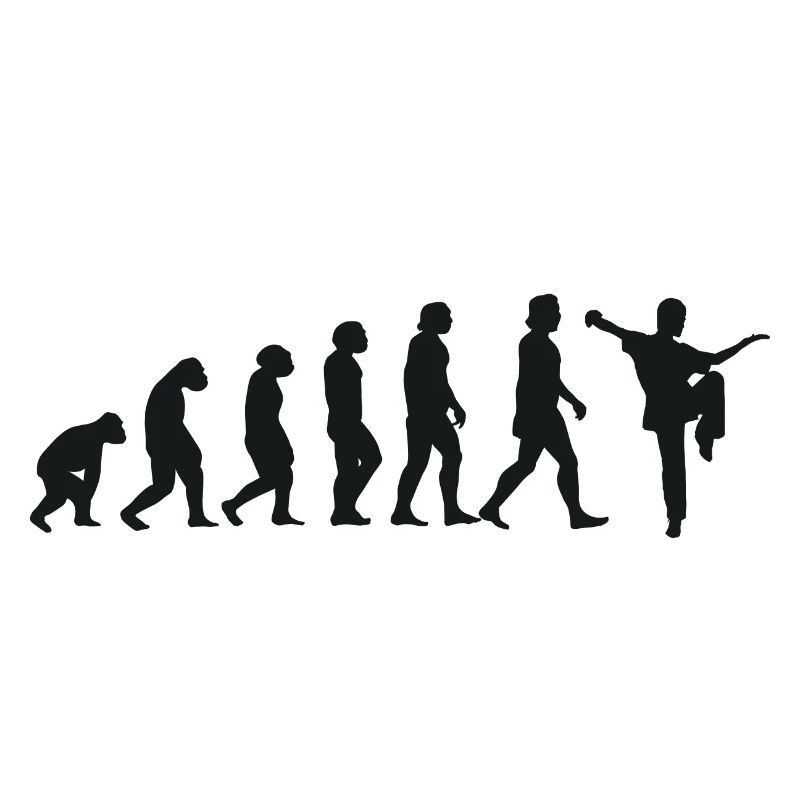 Évolution du Kung Fu