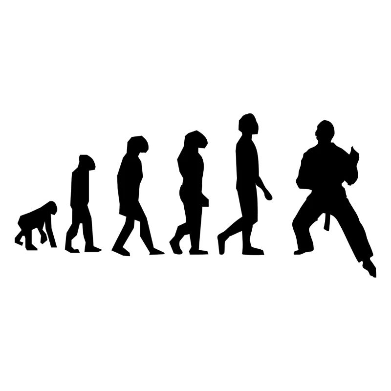Art martiaux évolution