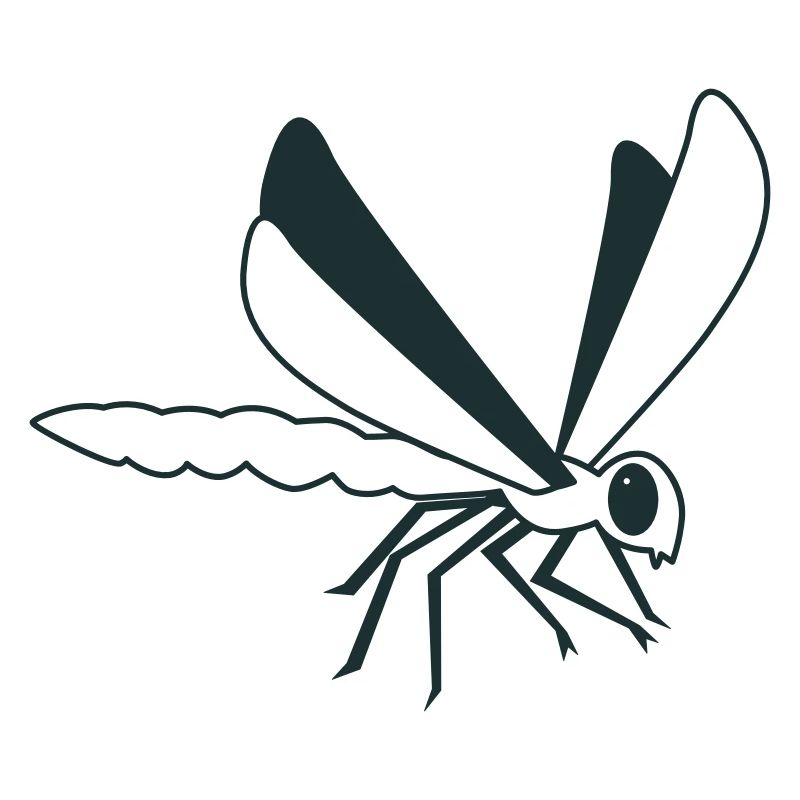 Libellule sur l’aile en noir et blanc