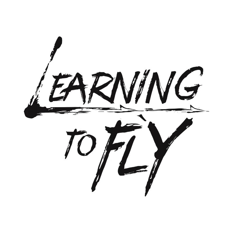 Learning to fly Fliegen Flugzeug Pilot Flieger