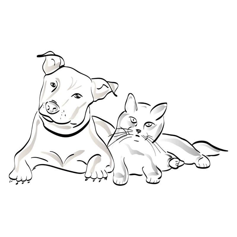 Hund und Katze