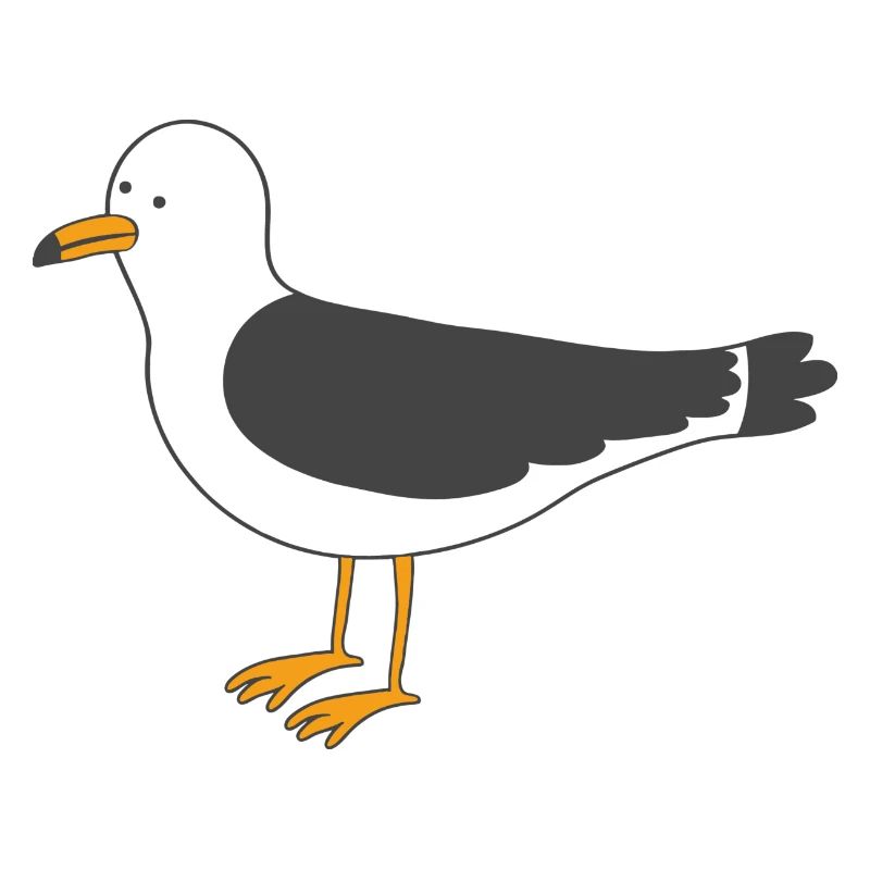 Möwe