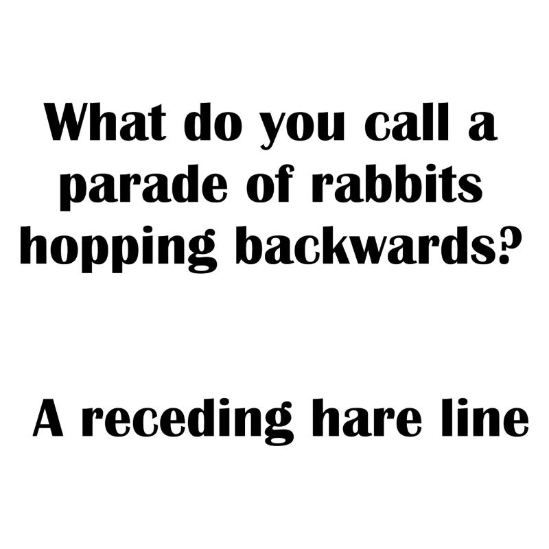 Hare Backwards Pun