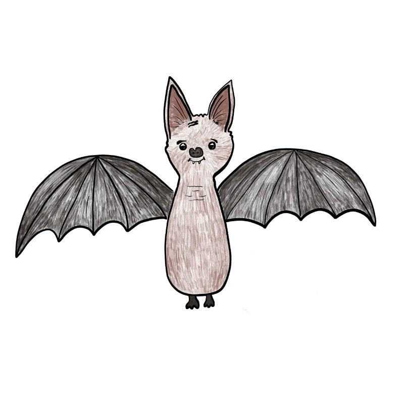 Bat Phantom Illustration