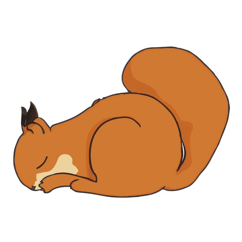 Sleeping Squirrel Gift Idea Pyjamas