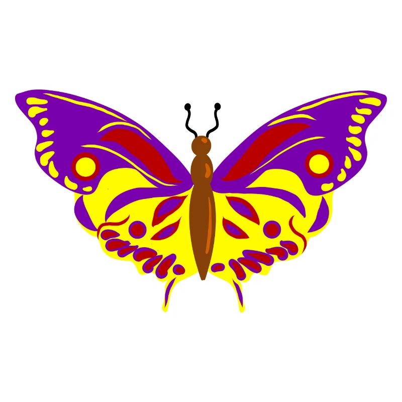 Vol de Papillon multicolore