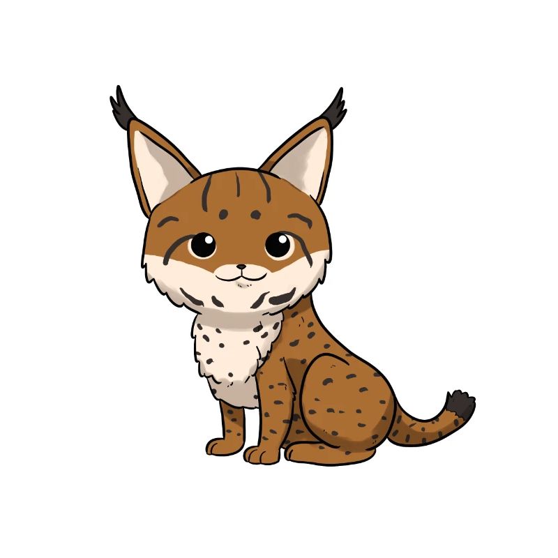 Luchs