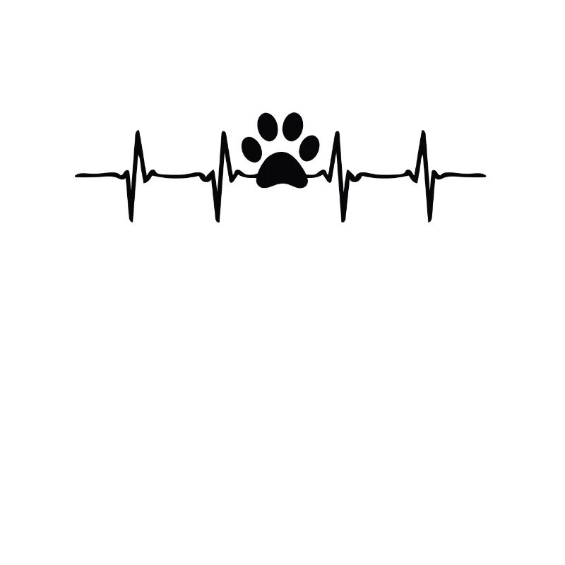 Chien et chat ensemble