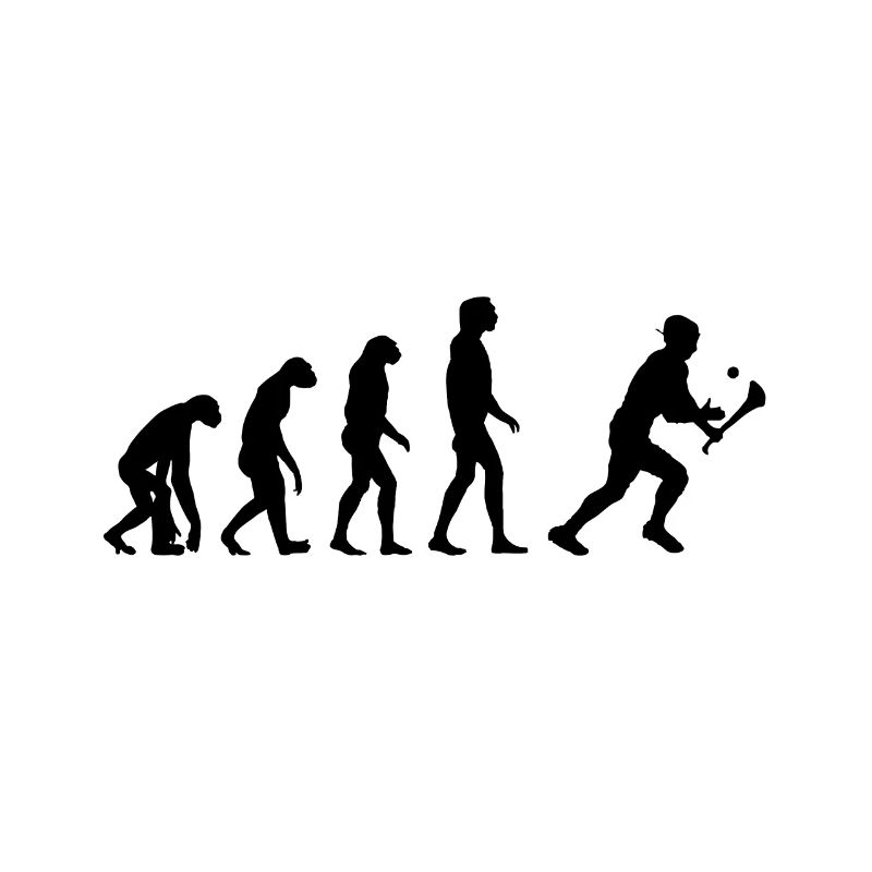 Evolution of Hurling