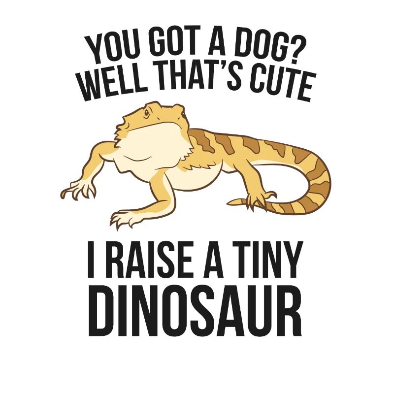 Bartagame Besitzer Bartagame Haustier Bartagame