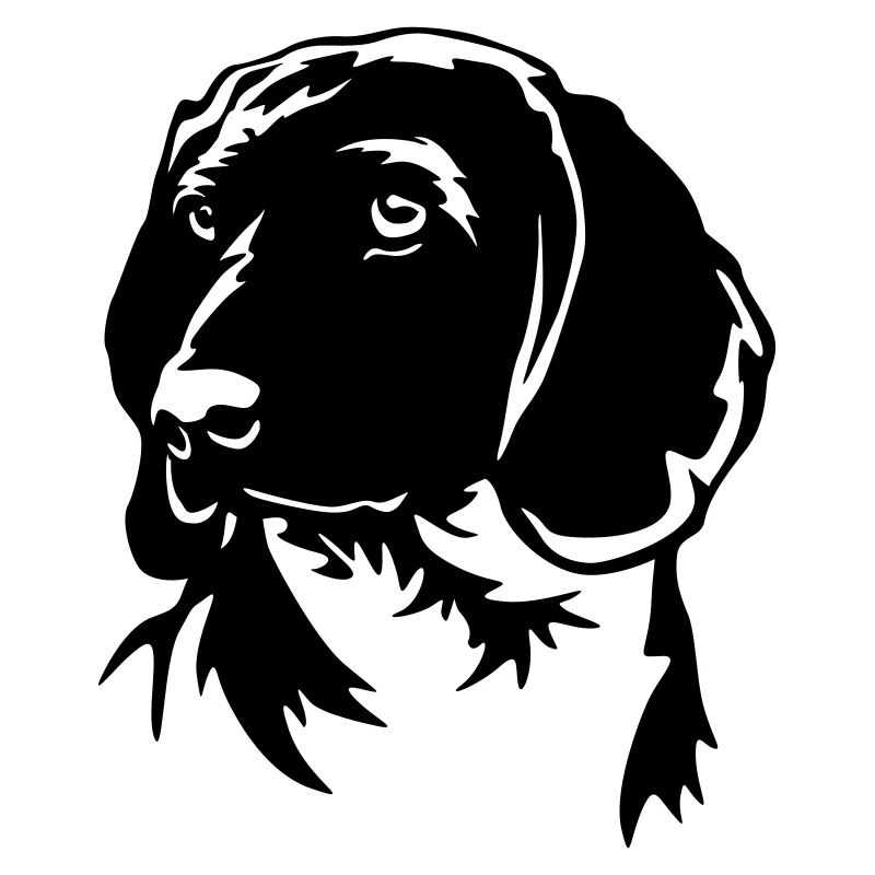 Bayerischer Gebirgsschweißhund Kopf