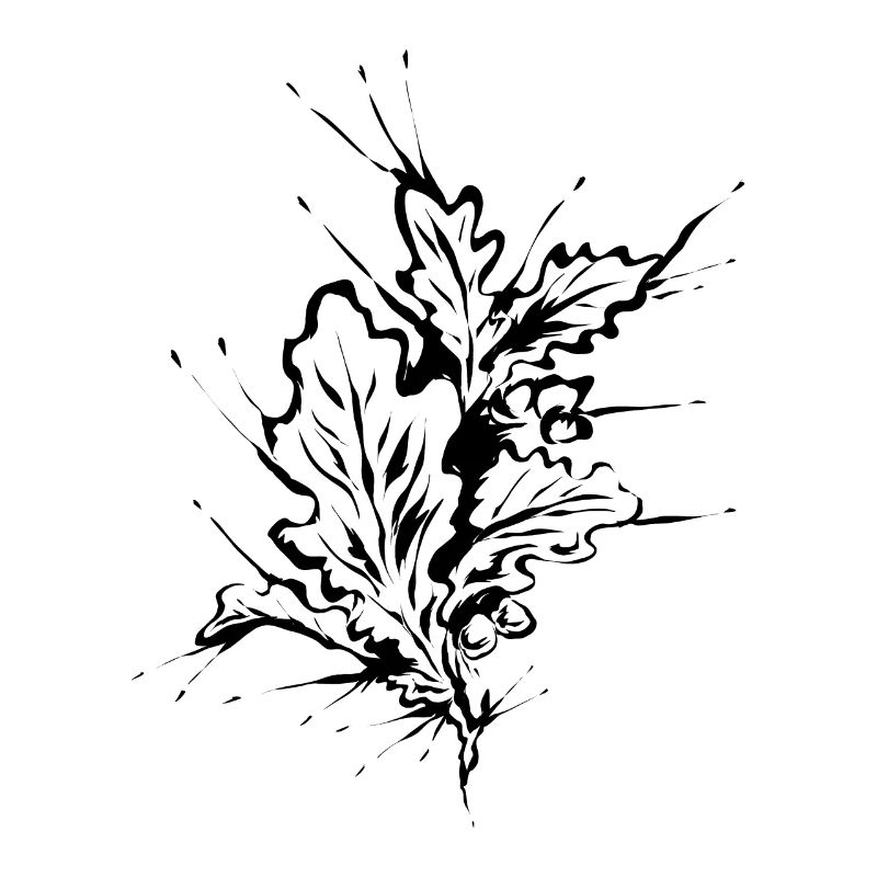Oak oak leaf