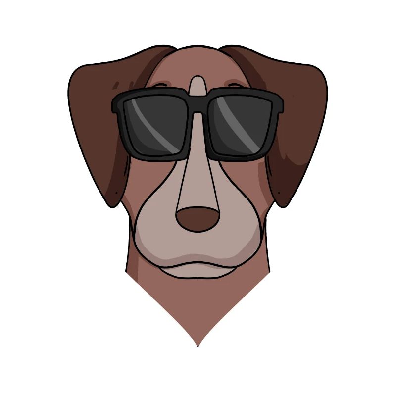 Pointer Hund Hunderasse
