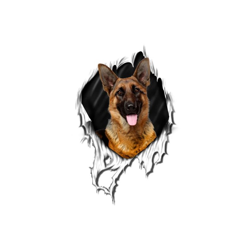 My German Shepherd is perfect for everyone