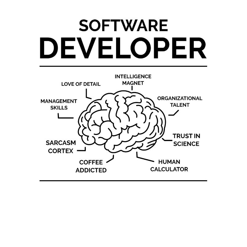 Software Entwickler
