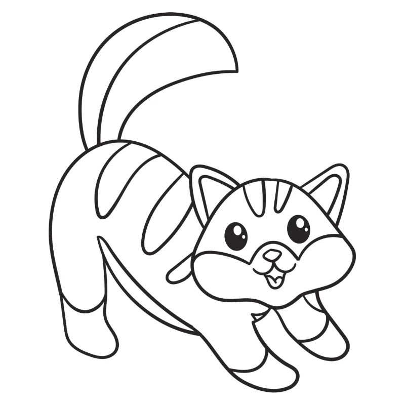 Katze, Kätzchen, süß, Geschenk, Geschenkidee