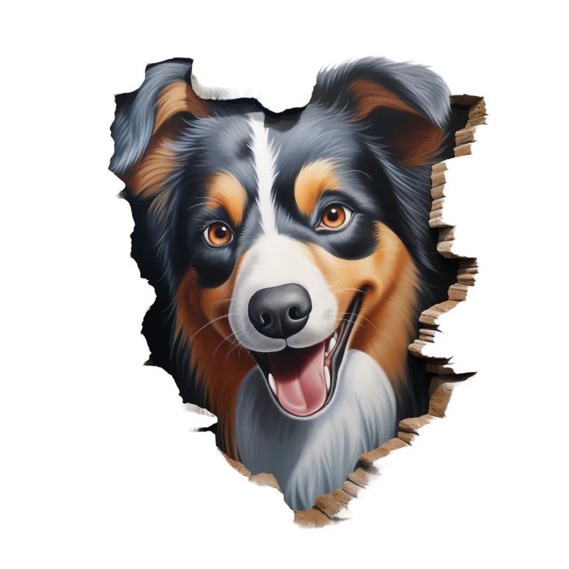 Australian Shepherd Owner - Perfect Aussie