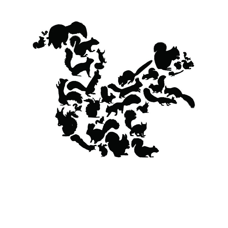 Eichhörnchen Wald Wildtier Tier Eichhörnchen