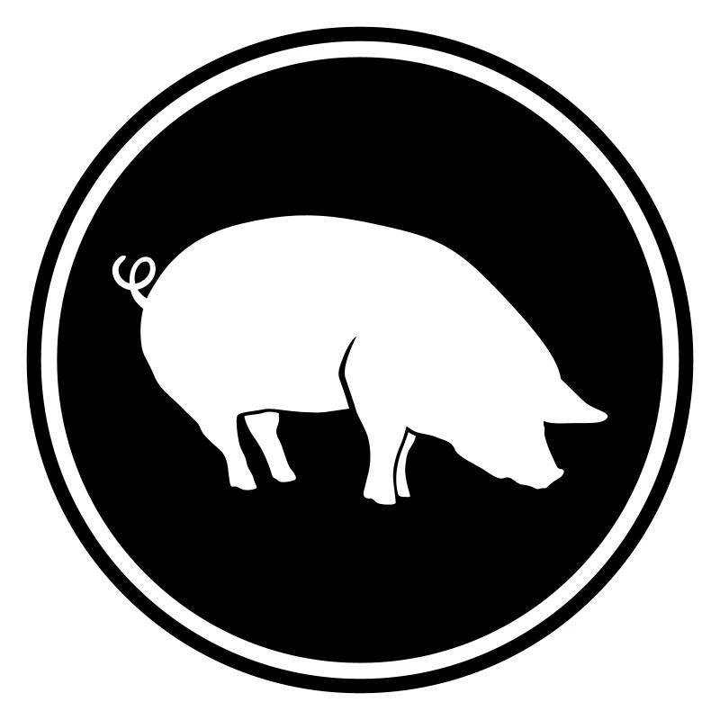 Schwein Tier