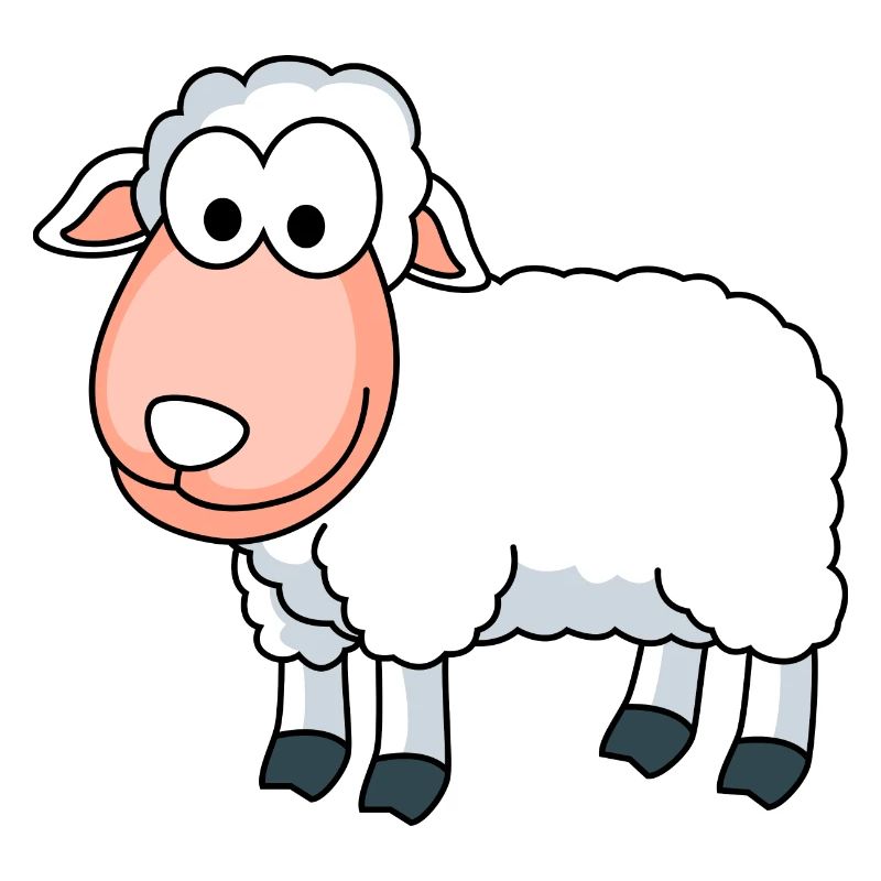 Sheep Comic Animal