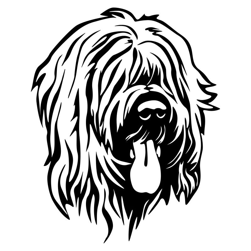 Tête de Briard