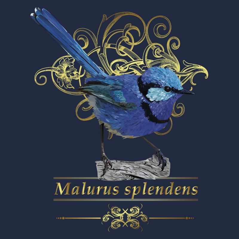 splendid maluro