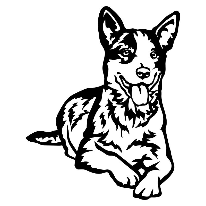 Australian Cattle Dog