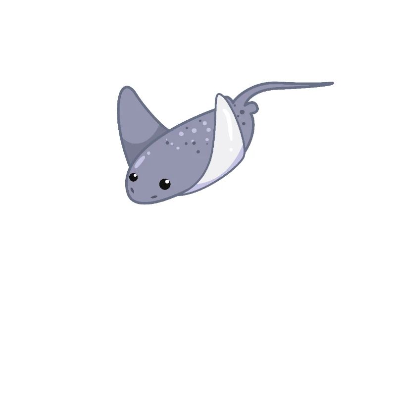 Elegant stingrays