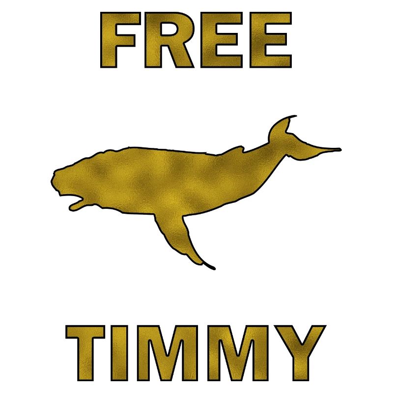 Baleine à bosse Timmy