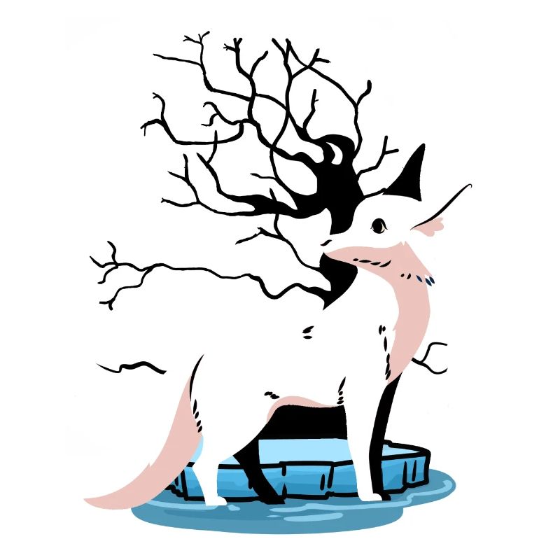 Wildlife Arctic North Pole Fox Foxes Child Polar