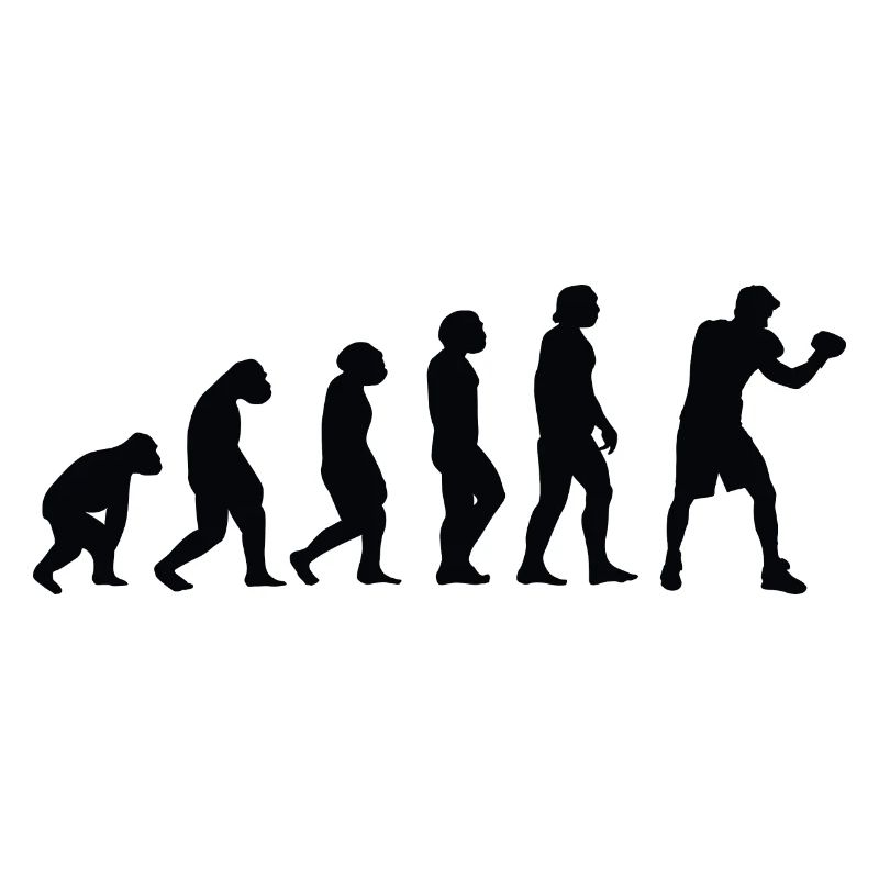 Evolution Boxe - Bo