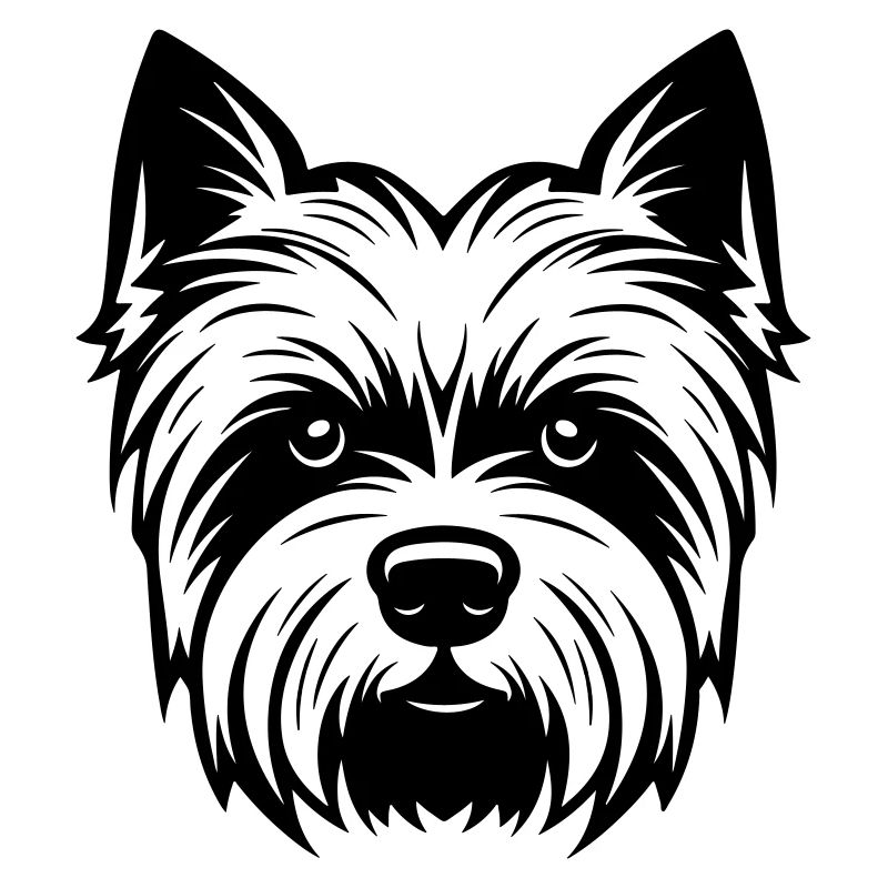 Tête de chien Yorkshire Terrier